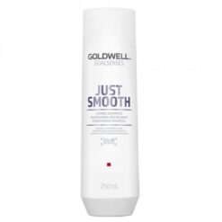 Goldwell DualSenses Just Smooth Shampoo 250ml