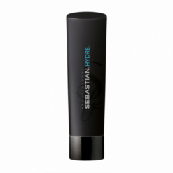 Sebastian Foundation Hydre Shampoo 250ml